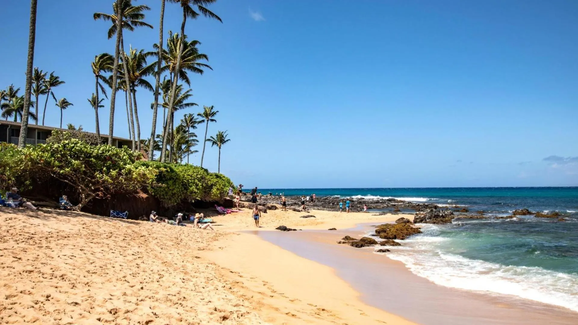 Kbm Resorts: Oceanfront Napili Bay Villa with Turtle Views Kahana Apartment
