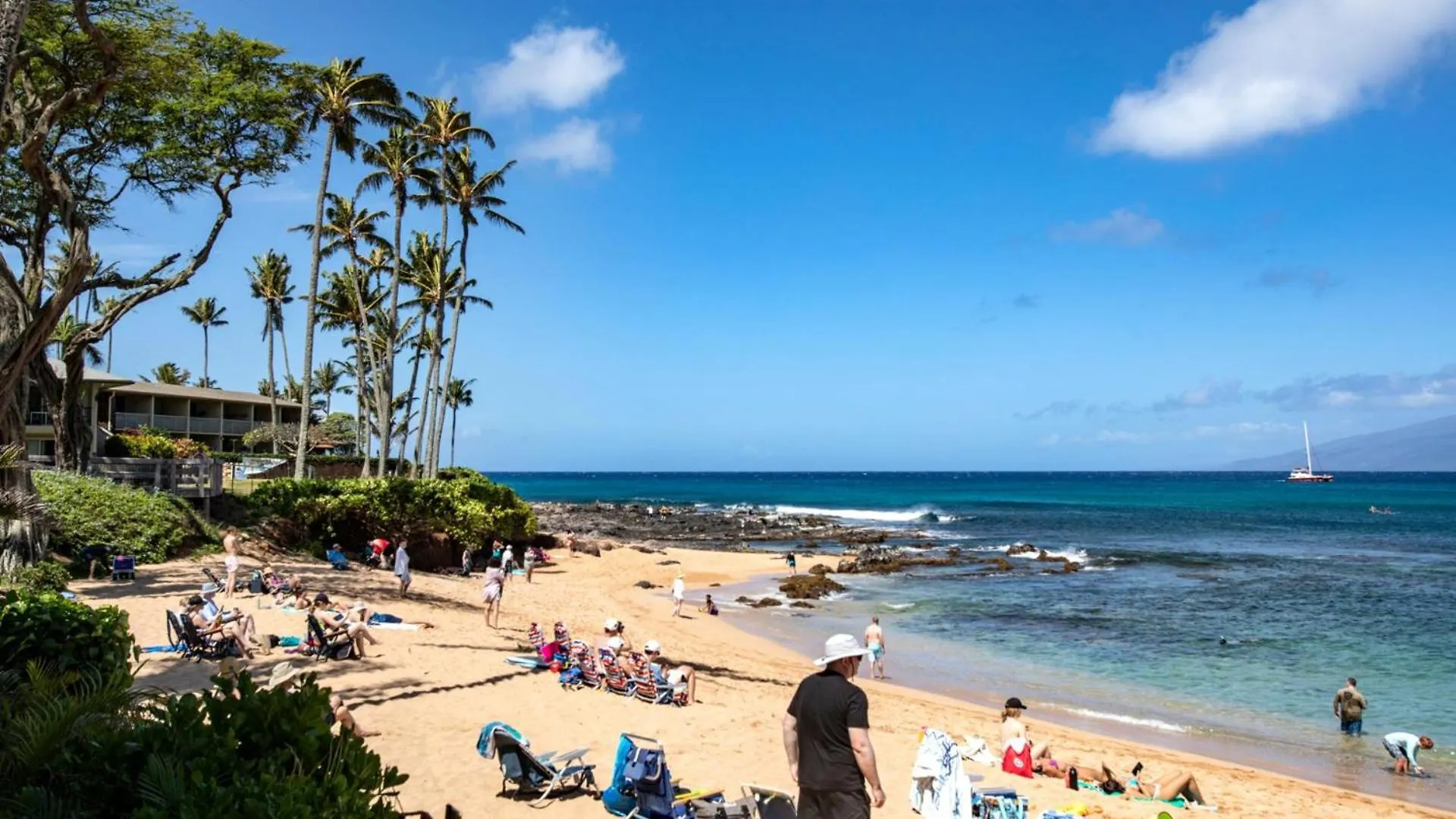 Kbm Resorts: Oceanfront Napili Bay Villa with Turtle Views Kahana Apartment