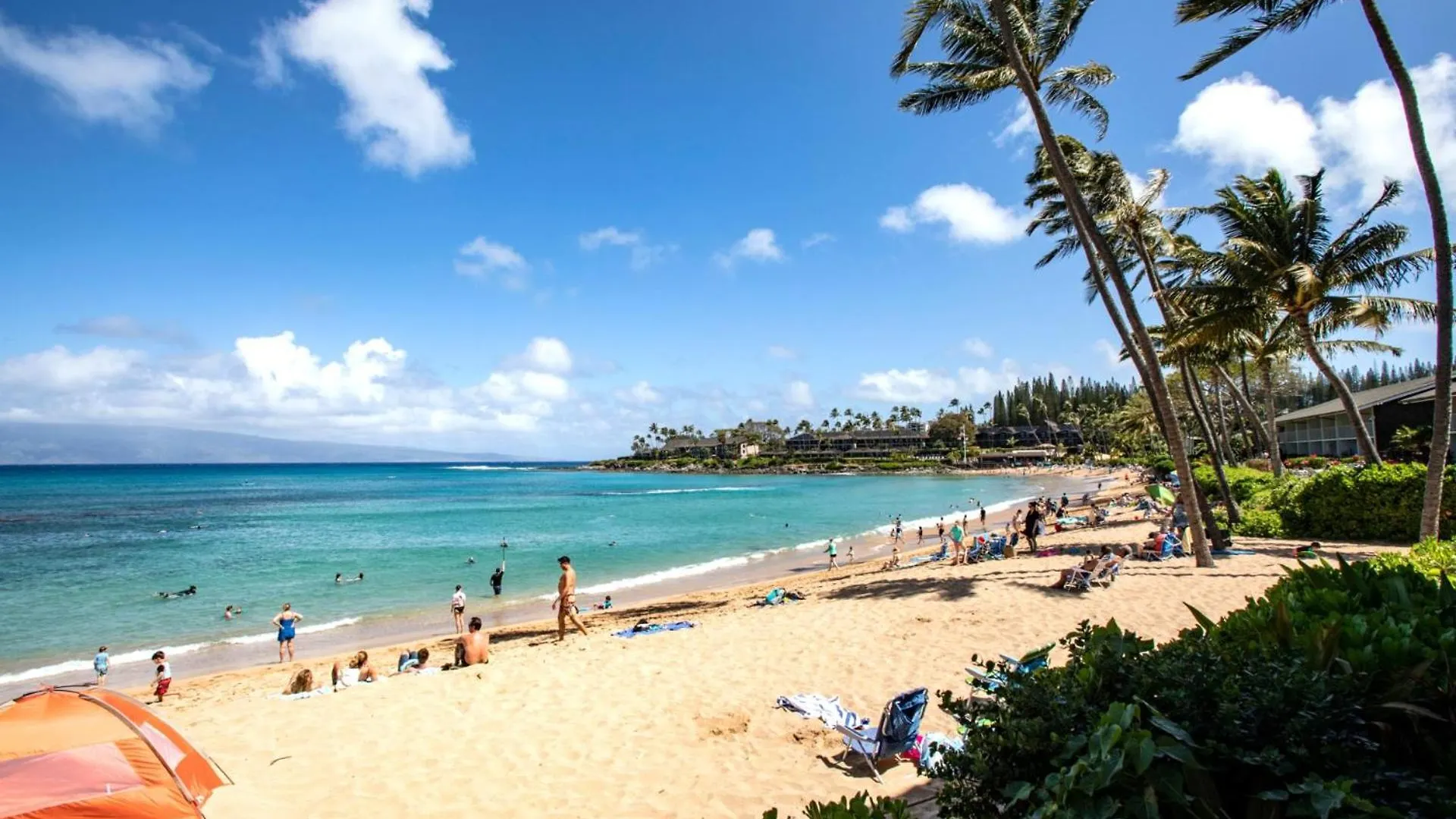 Kbm Resorts: Oceanfront Napili Bay Villa with Turtle Views Kahana United States