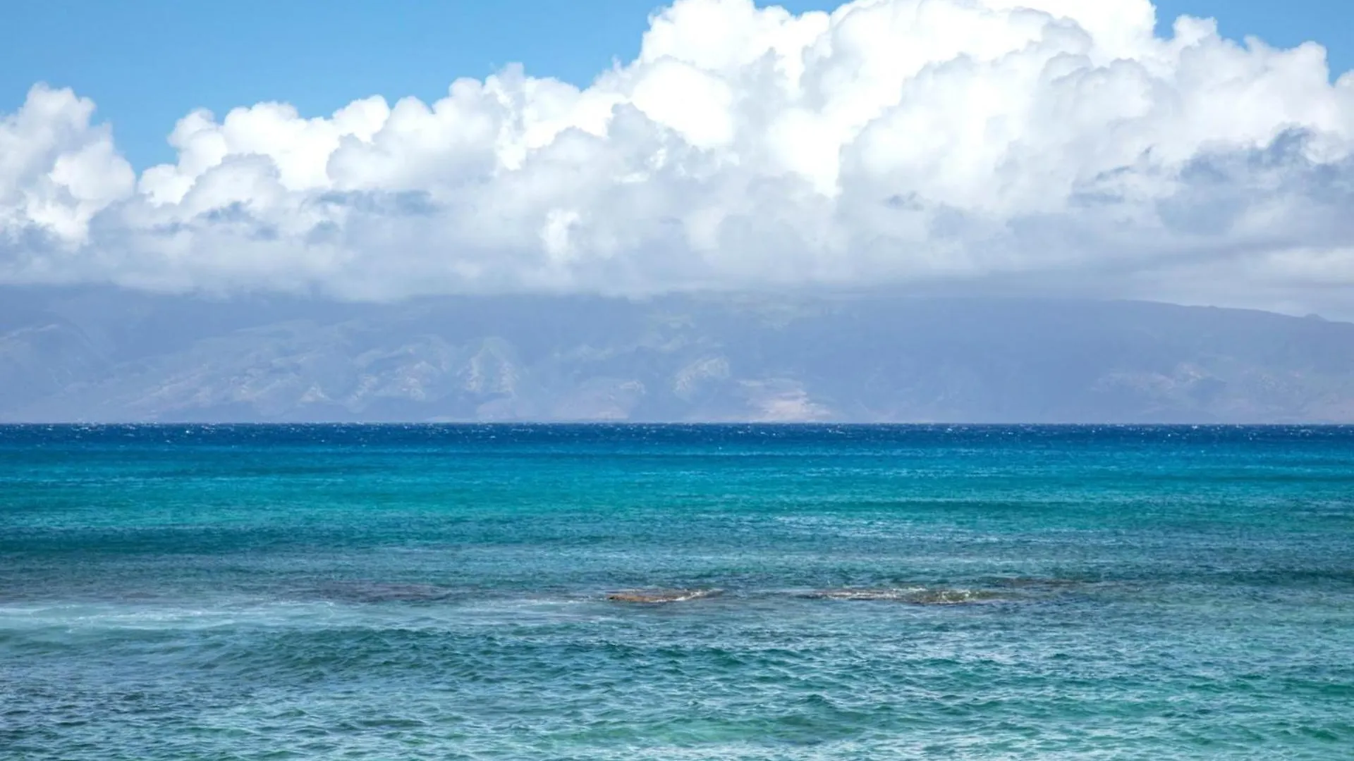 Kbm Resorts: Oceanfront Napili Bay Villa with Turtle Views Kahana