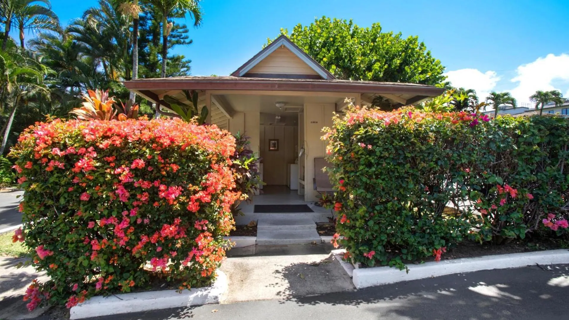 Διαμέρισμα Kbm Resorts Free Car Napili Bay Nab-107 Stunning Ocean Front Villa Turtle Views Kahana